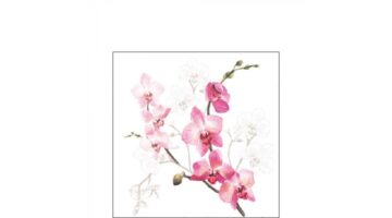 AMB.12517305 Orchid papírszalvéta 25x25cm