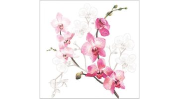 AMB.13317305 Orchid papírszalvéta 33x33cm