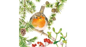 PPD.C3334152 Robin in Tree papírszalvéta 33x33cm