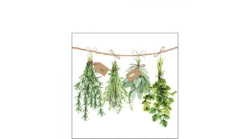 AMB.12516285 Fresh Herbs papírszalvéta 25x25cm
