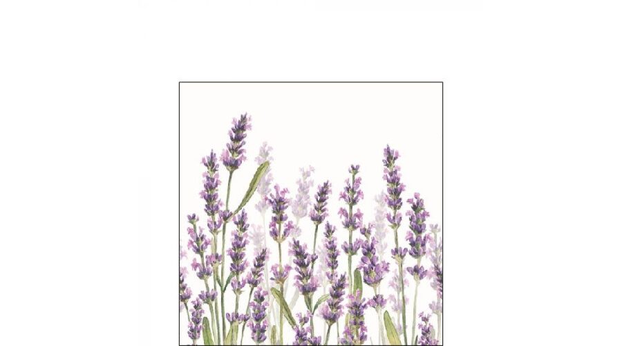 AMB.12515985 Lavender Shades white papírszalvéta 25x25cm