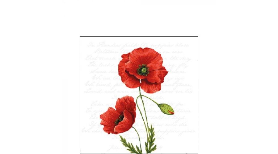 AMB.12516120 Proud Poppy papírszalvéta 25x25cm