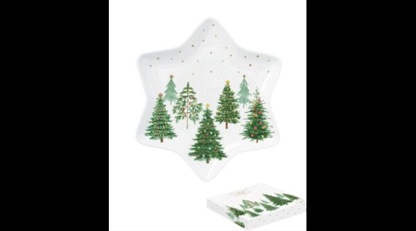 R2S.1484FTRE Porcelán csillagtálca 22