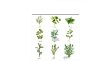 AMB.12518560 Herb selection papírszalvéta 25x25cm
