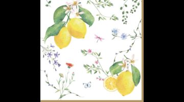 R2S.414FCIT Papírszalvéta 33x33cm