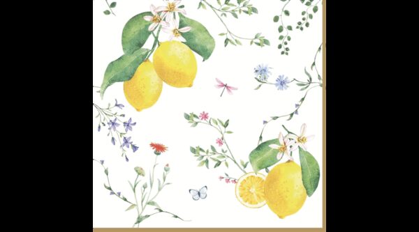 R2S.414FCIT Papírszalvéta 33x33cm