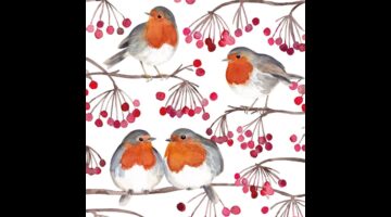 PPD.C133002875 Birds & Berries papírszalvéta 33x33cm