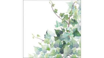 AMB.13317025 Hedera White papírszalvéta 33x33cm