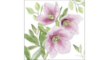 AMB.33318015 Classic helleborus papírszalvéta 33x33cm