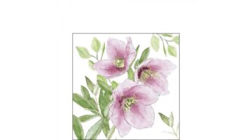 AMB.32518015 Classic helleborus papírszalvéta 25x25cm