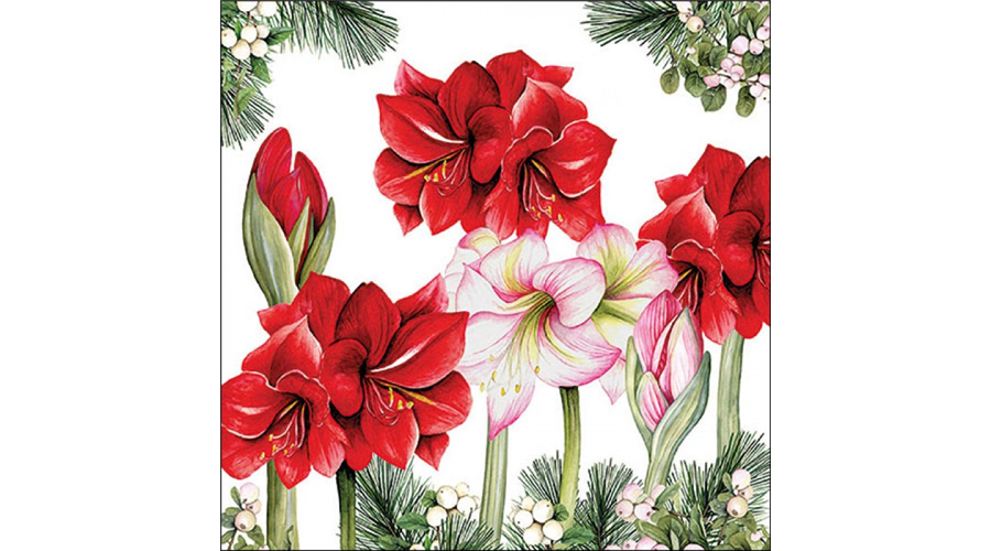 Termék galéria kép