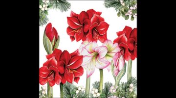 AMB.33320275 Blooming amaryllis white papírszalvéta 33x33cm
