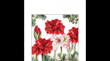 AMB.32520275 Blooming amaryllis white papírszalvéta 25x25cm