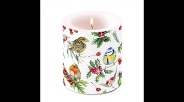 AMB.39319955 Birds in Winter átvilágítós gyertya 10x10xcm