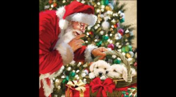 AMB.33320060 Just be quiet papírszalvéta 33x33cm