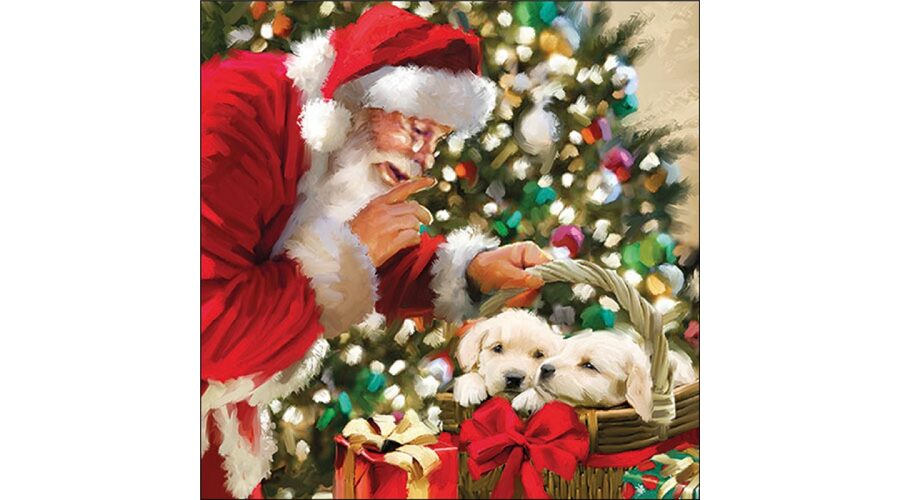 AMB.33320060 Just be quiet papírszalvéta 33x33cm