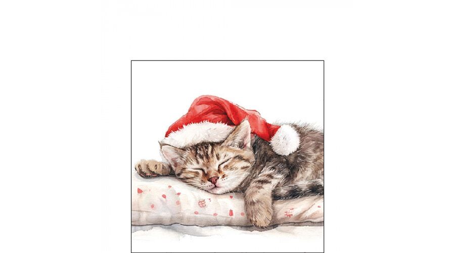 AMB.32520080 Dreaming about X-Mas papírszalvéta 25x25cm