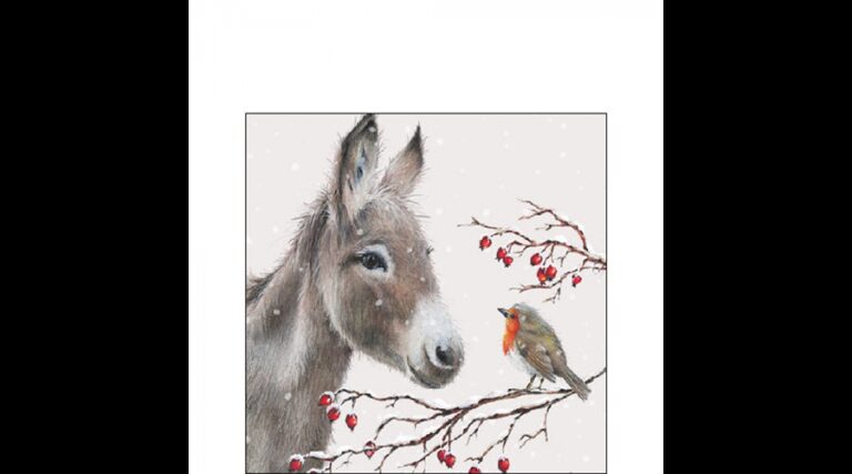 AMB.32520100 Donkey and robin papírszalvéta 25x25cm
