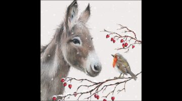 AMB.33320100 Donkey and robin papírszalvéta 33x33cm