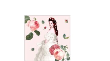 PPD.B125002331 Sisi papírszalvéta 25x25cm