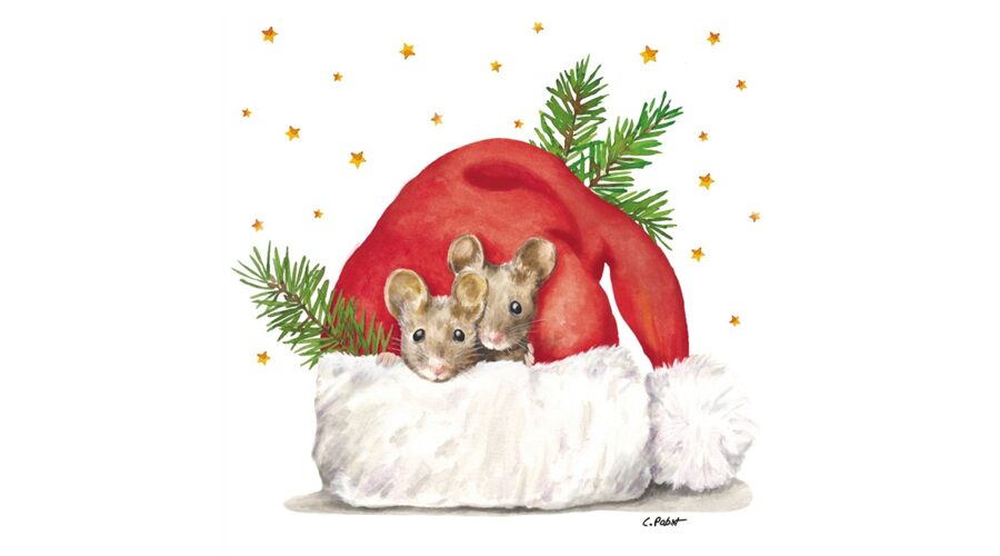 PPD.C333002771 Get cozy papírszalvéta 33x33cm