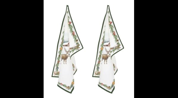 R2S.2634WHIF Konyharuhaszett 2 db-os 50x70cm