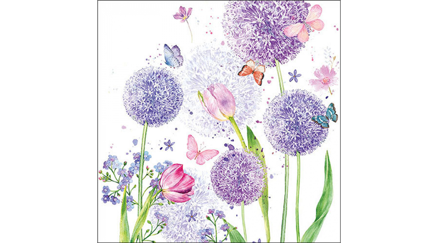 Termék galéria kép