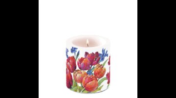 AMB.19219310 Tulips of joy átvilágítós gyertya 8x7