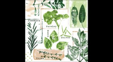 AMB.13319635 Herb prints white papírszalvéta 33x33cm