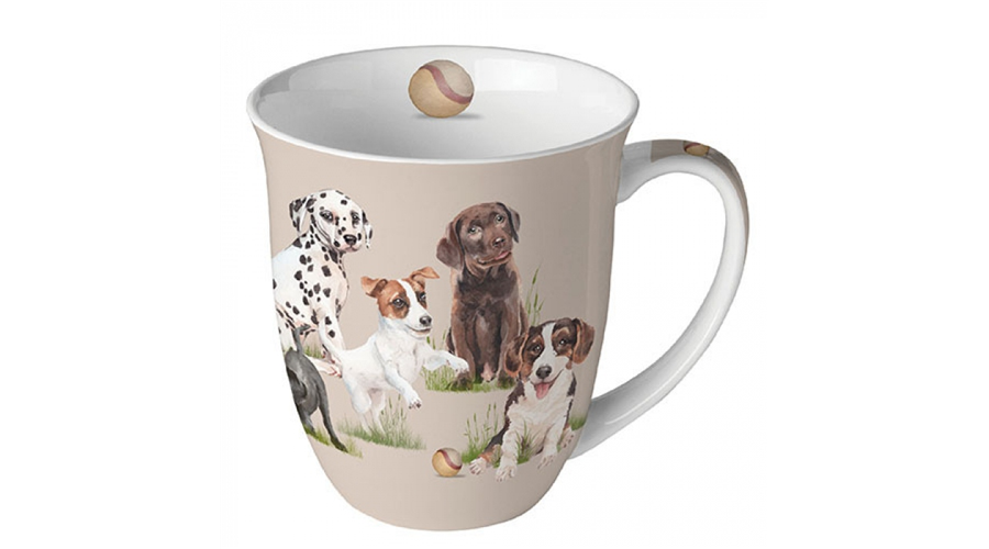 Termék galéria kép