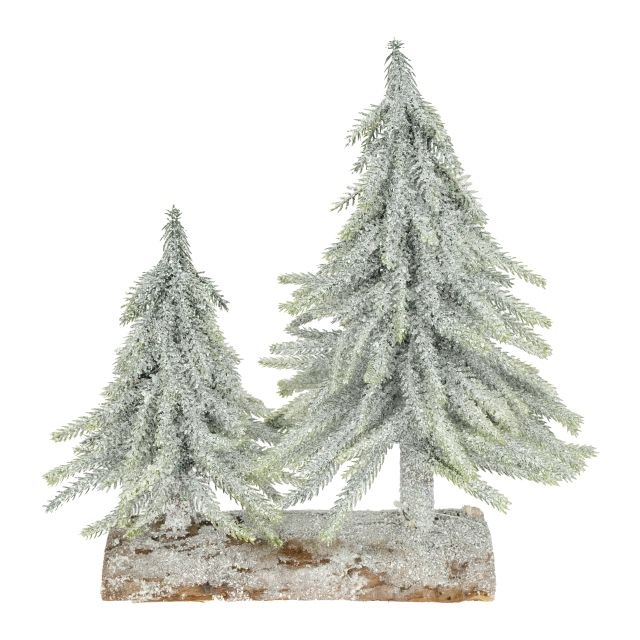 Fenyõfák farönk talpon