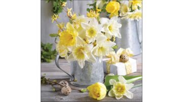 AMB.13320500 Daffodils in pot papírszalvéta 33x33cm