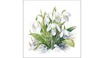 AMB.13320490 Blooming snowdrops papírszalvéta 33x33cm