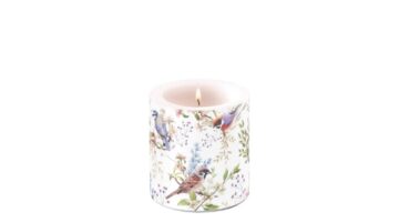 AMB.19220390 Busy birds átvilágítós gyertya 8x7