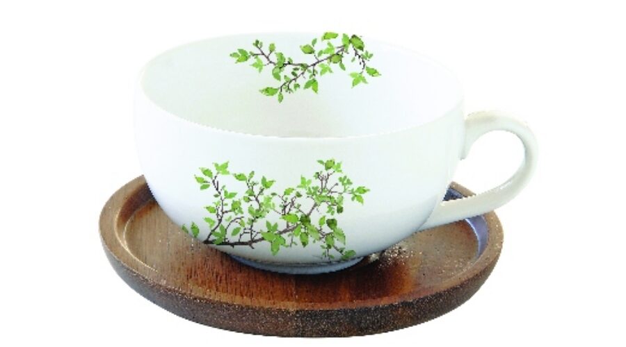 R2S.1082NTRA Porcelán teáscsésze akácfa aljjal