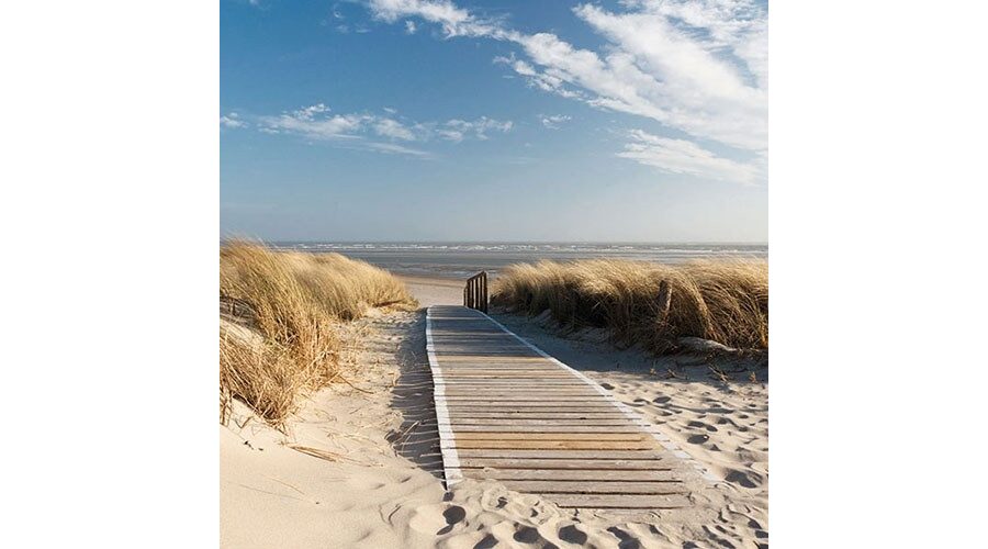 Termék galéria kép