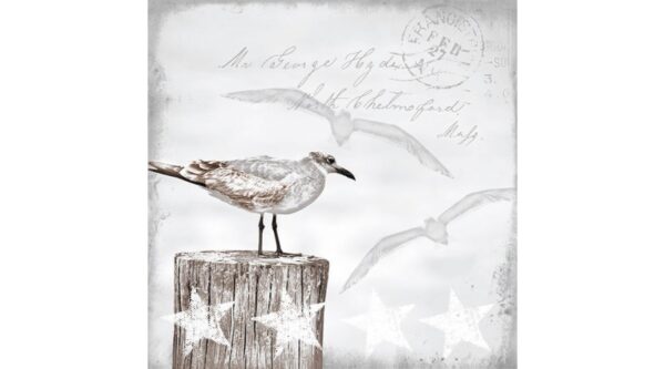 AMB.13309115 Seagulls papírszalvéta 33x33cm