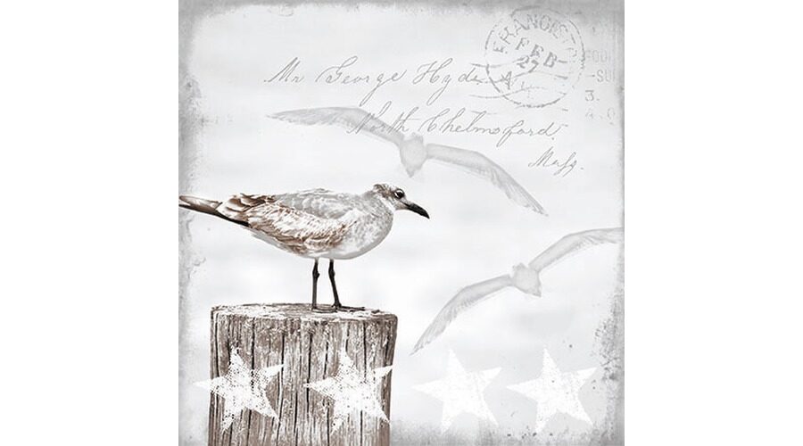 Termék galéria kép