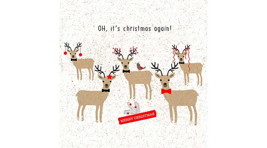 Termék galéria kép