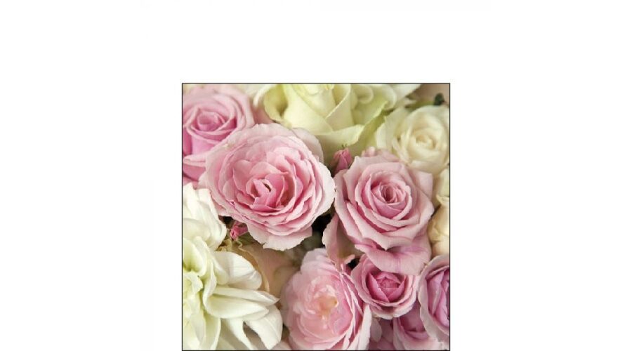 Termék galéria kép