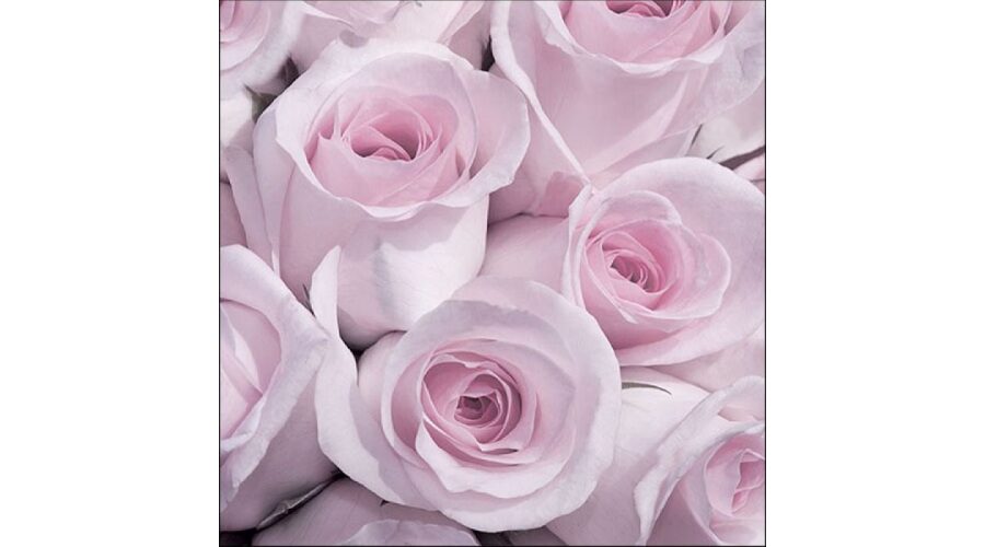 Termék galéria kép