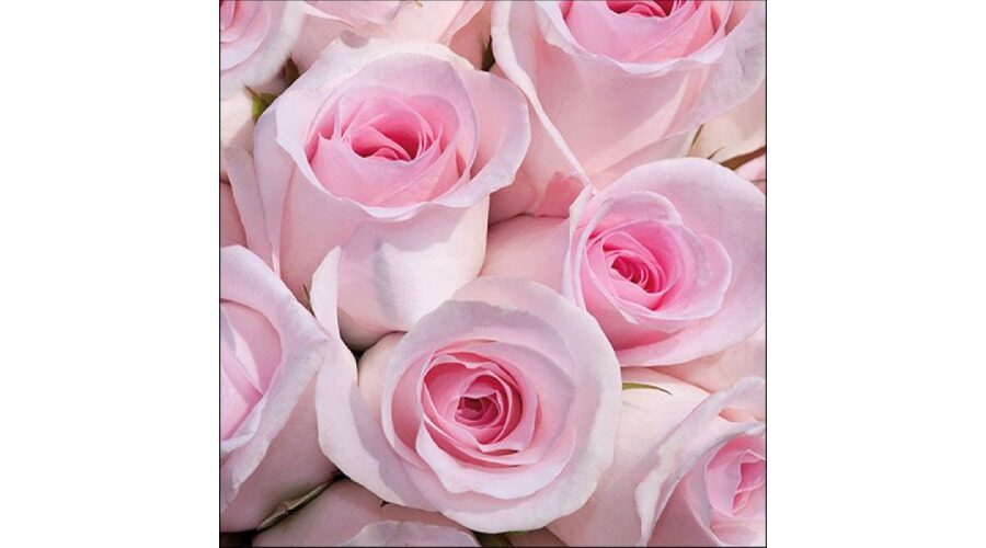 Termék galéria kép