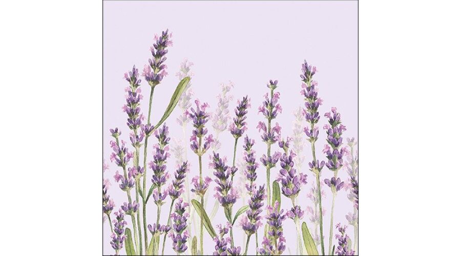 Termék galéria kép