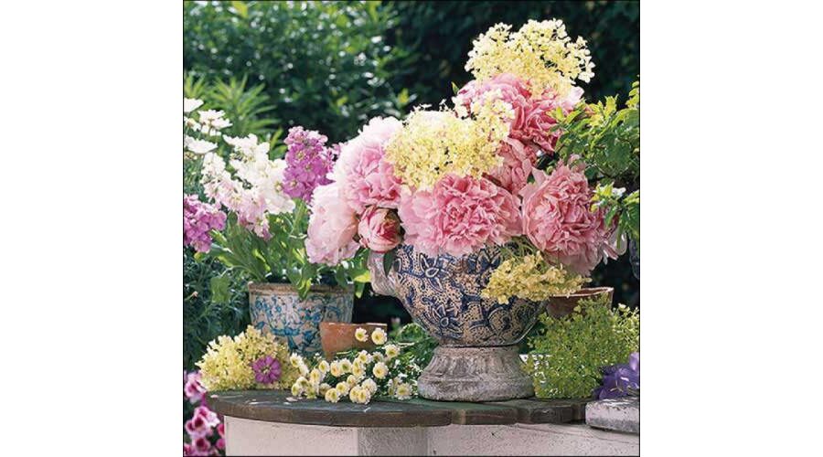 Termék galéria kép