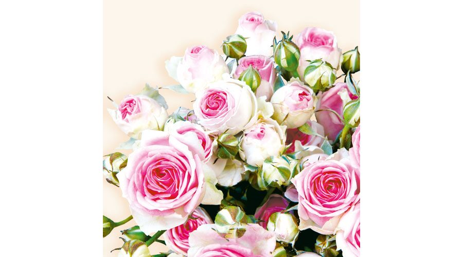 Termék galéria kép