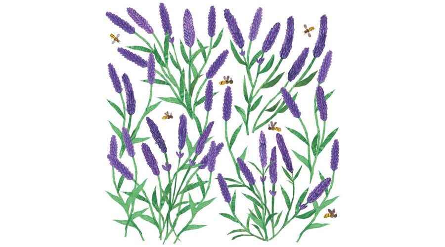 Termék galéria kép