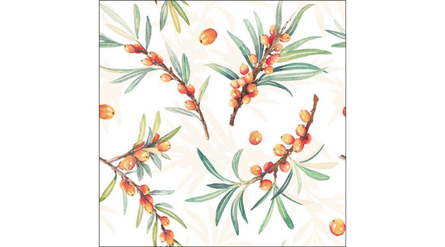 Termék galéria kép