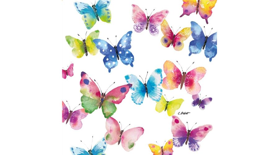 Termék galéria kép