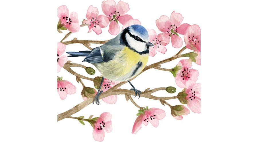 Termék galéria kép