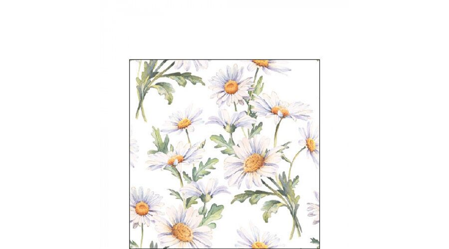 Termék galéria kép